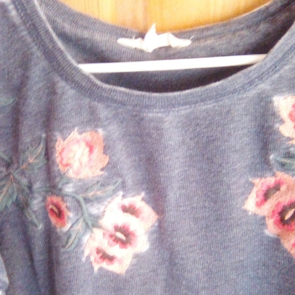 Elegant Floral Long Sleeve Top - Blue and Pink